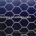 Poulet / Hexagonal Wire Mesh (5% de réduction en janvier 2012) En, BS, Din standard